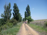 Bicicleta_montania_151