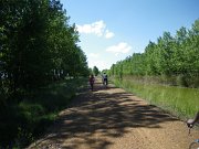 Bicicleta_montania_241