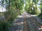 Bicicleta_montania_331