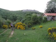 Bicicleta_montania_461