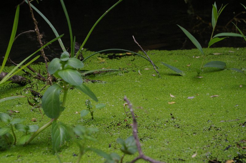 Descenso_Tuerces_071.JPG
