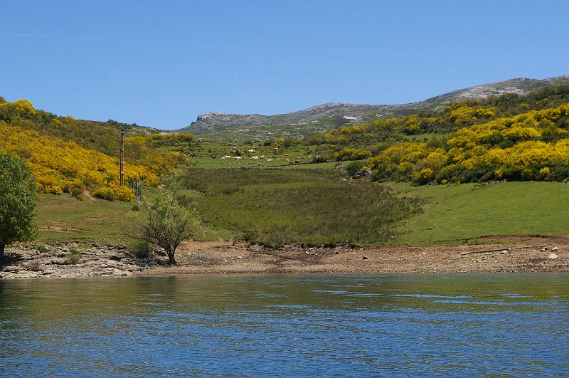 Pantano_Camporredondo_081.JPG